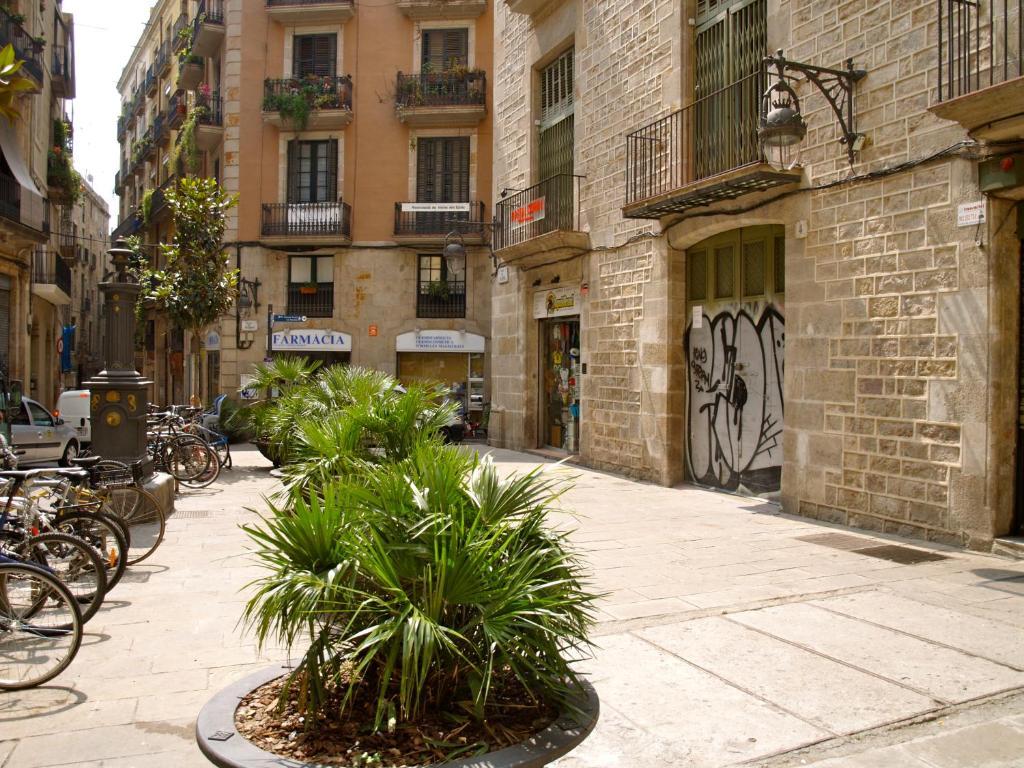 Hostal Nitzs Bcn Barcelone Extérieur photo